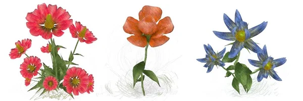 Акварельні Квіти Ізольовані Білому Тлі — стокове фото