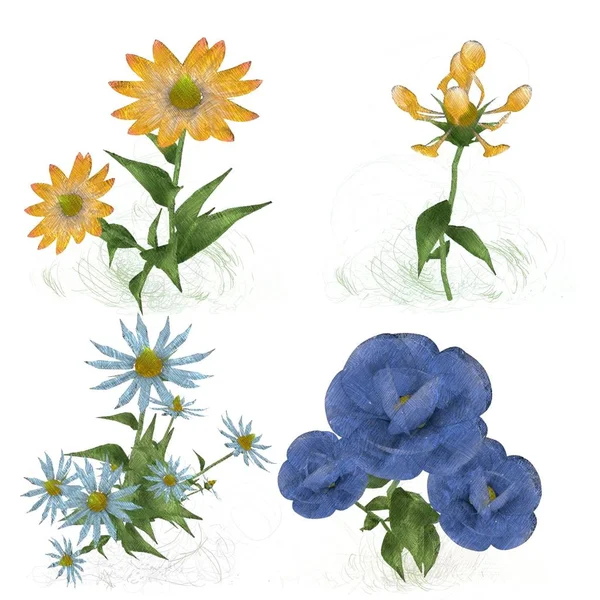 Uppsättning Akvarell Blommor Vit Bakgrund — Stockfoto