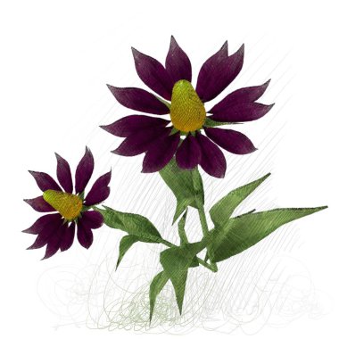 Beyaz arkaplanda güzel çiçekler