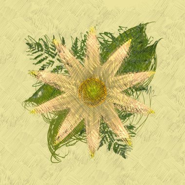 sahilde esrar bitki.