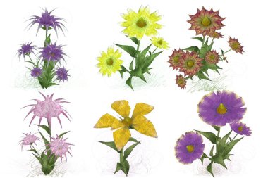 Beyaz arka planda suluboya çiçekler seti