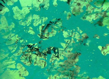 boya lekeleri ile grunge arka plan 