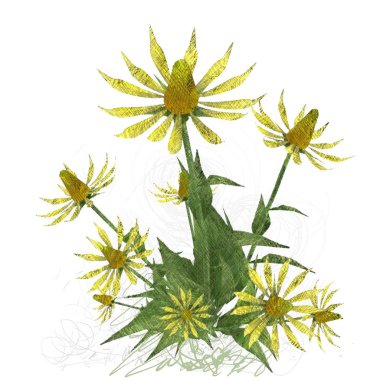 Beyaz arkaplanda izole edilmiş noel ağacı