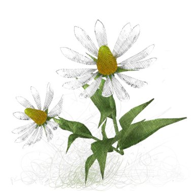 Beyaz arka planda izole dağınık grungy çiçekler