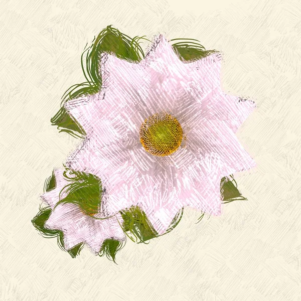 Μπουκέτο Ροζ Λουλούδια — Φωτογραφία Αρχείου