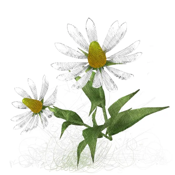 Beyaz arka planda izole dağınık grungy çiçekler