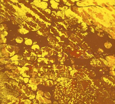 Boya lekeleriyle soyut arkaplan