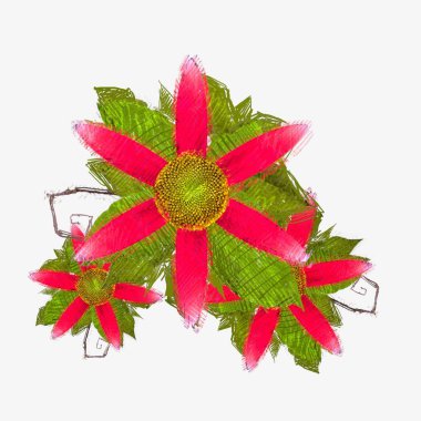 Beyaz arkaplanda kırmızı çiçek