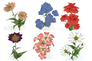 beyaz zemin üzerine suluboya çiçek