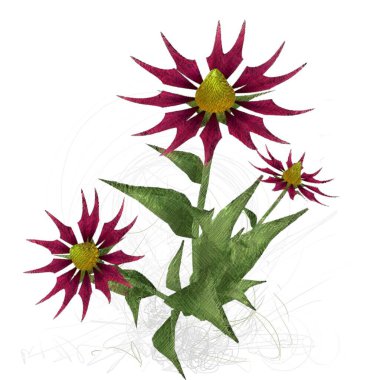 Beyaz arkaplanda güzel çiçekler