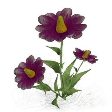 Beyaz arkaplanda güzel çiçekler