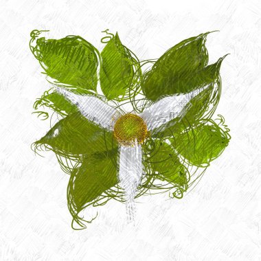 beyaz arkaplanda yeşil yapraklar