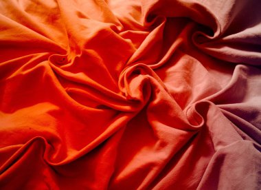 Beyaz arkaplanda kırmızı gül