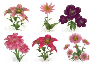 Beyaz arka planda buket ve çiçekler