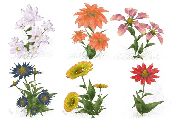 Beyaz arka planda güzel suluboya çiçekler