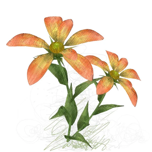 Akvarell Blomma Isolerad Vit Bakgrund — Stockfoto