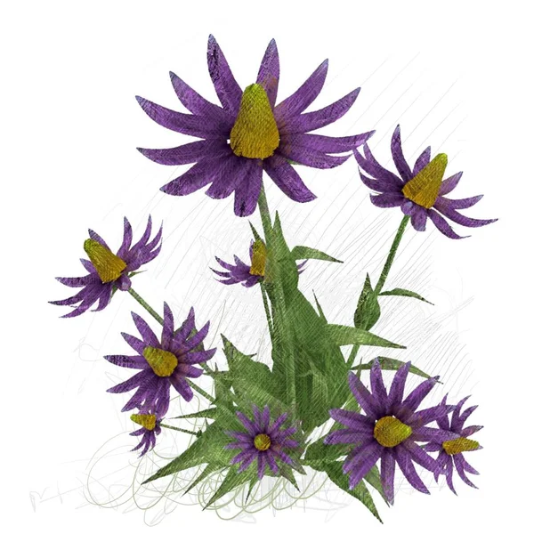 Beyaz arkaplanda güzel çiçekler