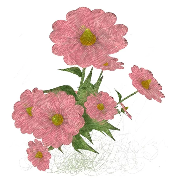 Beyaz arkaplanda güzel çiçekler