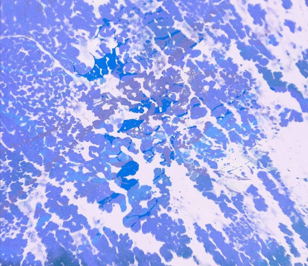 Metin için yeri olan boya lekeleriyle soyut arkaplan     