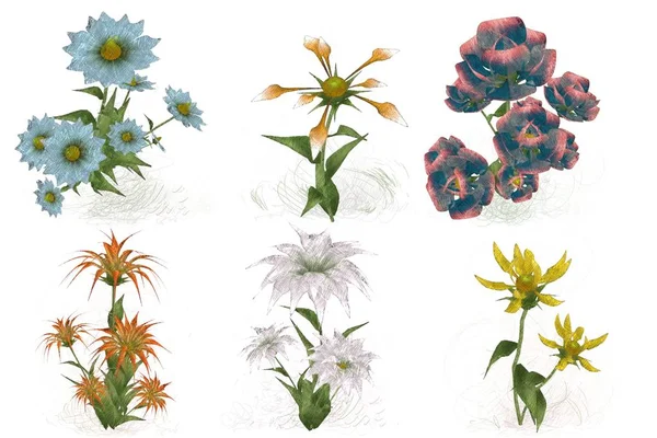 Набір Акварельних Квітів Білому Тлі — стокове фото
