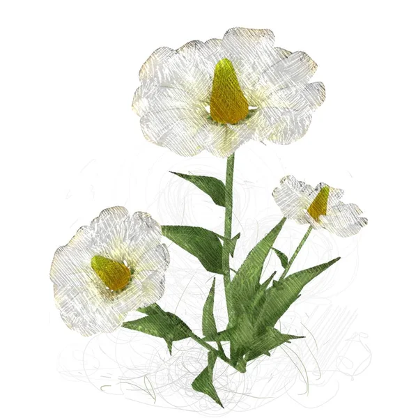 Aquarel Bloemen Witte Achtergrond — Stockfoto