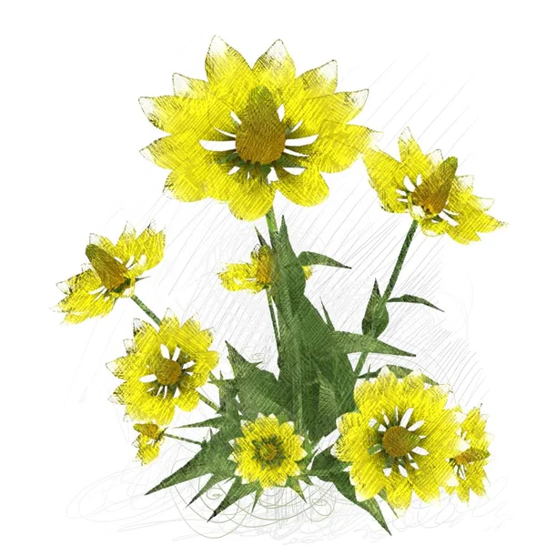 Yellow Flowers Isolated White Background — Stock Photo, Image