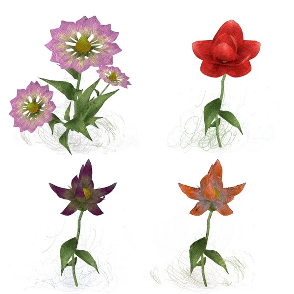 Watercolor Flowers White Background — Stock Photo, Image