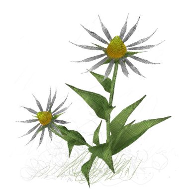 Beyaz arkaplanda izole edilmiş noel ağacı