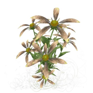 Renkli çiçek doku arka plan 