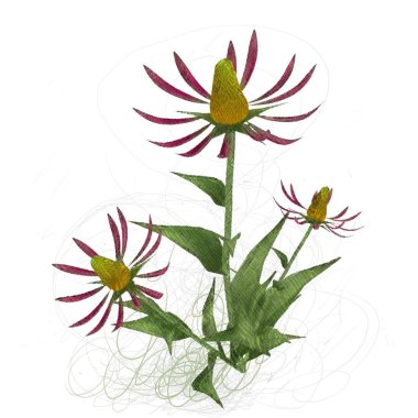 çiçekler ile çiçek çiçek