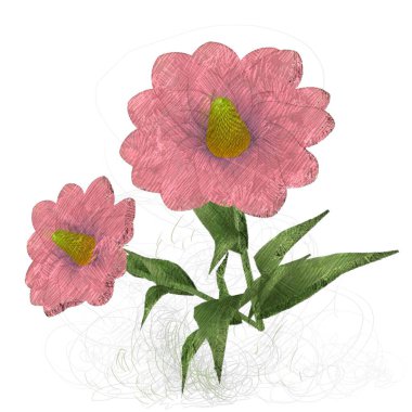 Beyaz arkaplanda güzel çiçekler