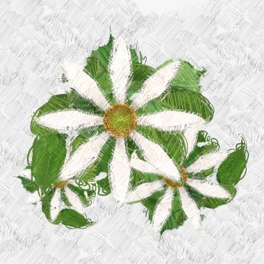 beyaz bir arka plan üzerinde noel yaprakları