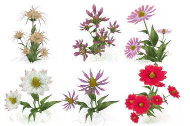 Beyaz arka planda suluboya çiçekler seti