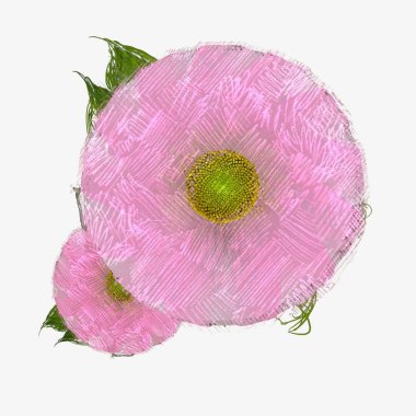 Beyaz üzerine izole edilmiş pembe çiçek.