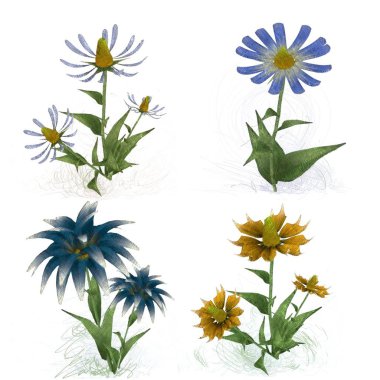 Beyaz arkaplanda güzel çiçekler