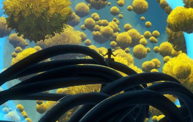 Bahçedeki ayçiçeği