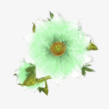 Beyaz arkaplanda izole edilmiş noel ağacı