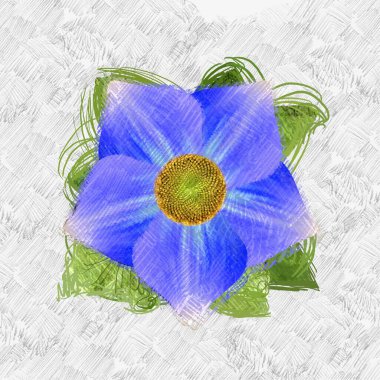 Beyaz arka planda güzel çiçekler