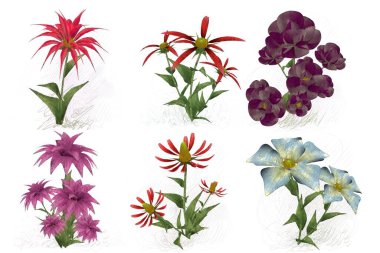 Beyaz arkaplanda güzel çiçekler