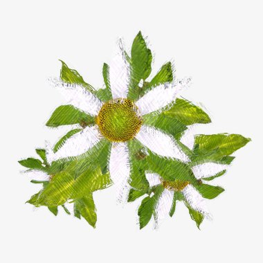 Beyaz arkaplanda izole edilmiş noel ağacı