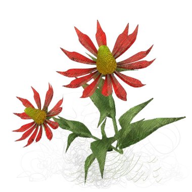 Beyaz arkaplanda güzel çiçekler 