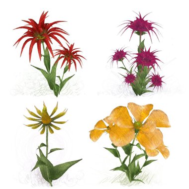 Beyaz arkaplanda güzel çiçekler