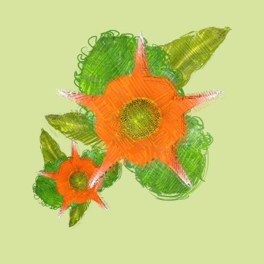 Beyaz arka planda izole çiçek