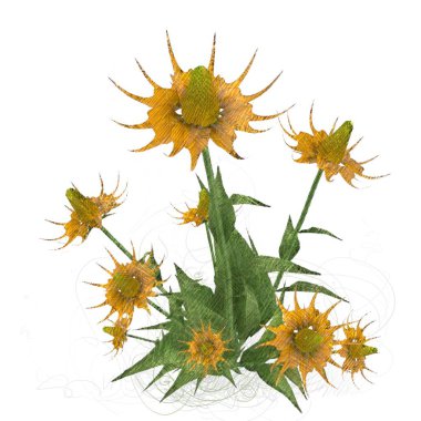 Beyaz arkaplanda izole edilmiş noel ağacı