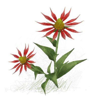 beyaz arka planda noel yaprakları