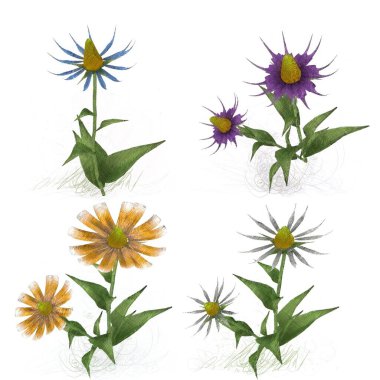 Beyaz arka planda suluboya çiçekler seti