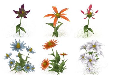 Beyaz arka planda güzel suluboya çiçekler