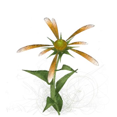 beyaz arkaplanda izole edilmiş yeşil çiçek