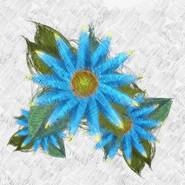 Beyaz arka plan üzerinde renkli çiçekler