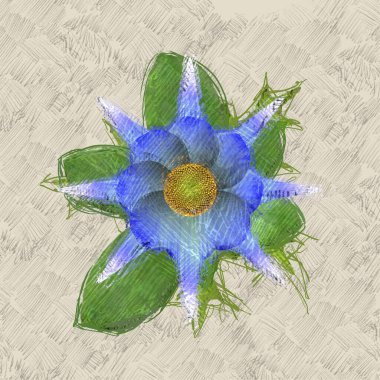 Beyaz arkaplanda çiçek